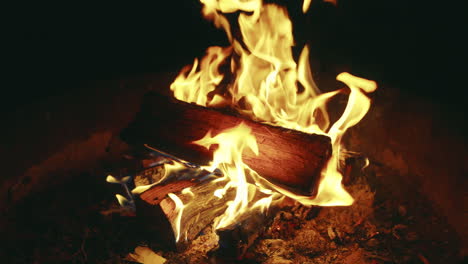 fogata en la noche