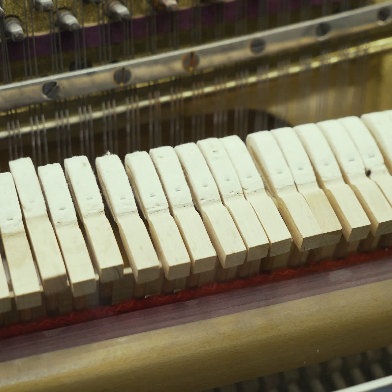 Piano. Principles of the work of musical instruments.