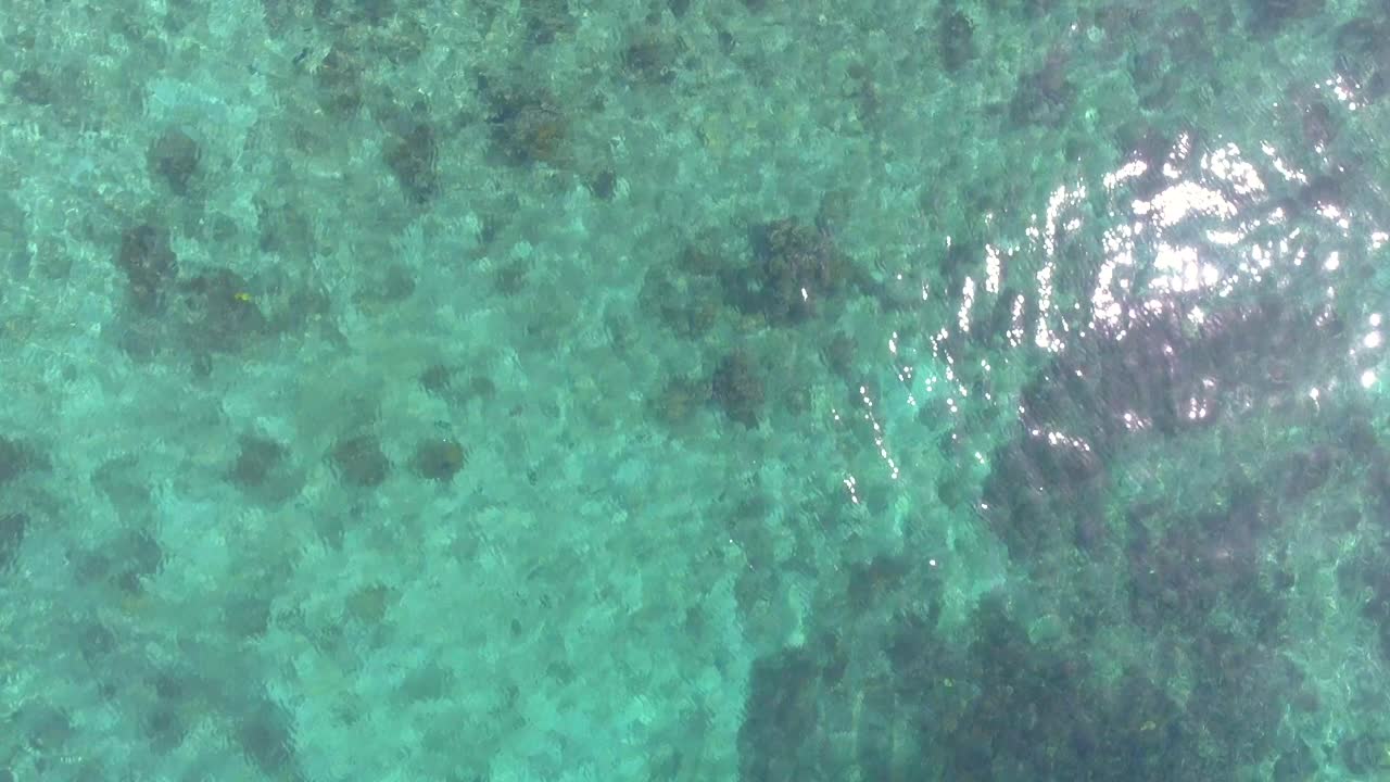 바다 의 공중 풍경