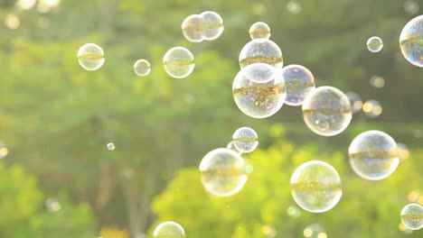 4k soap bubbles floating in the air with natural green blurred bokeh background for children and kids in the park