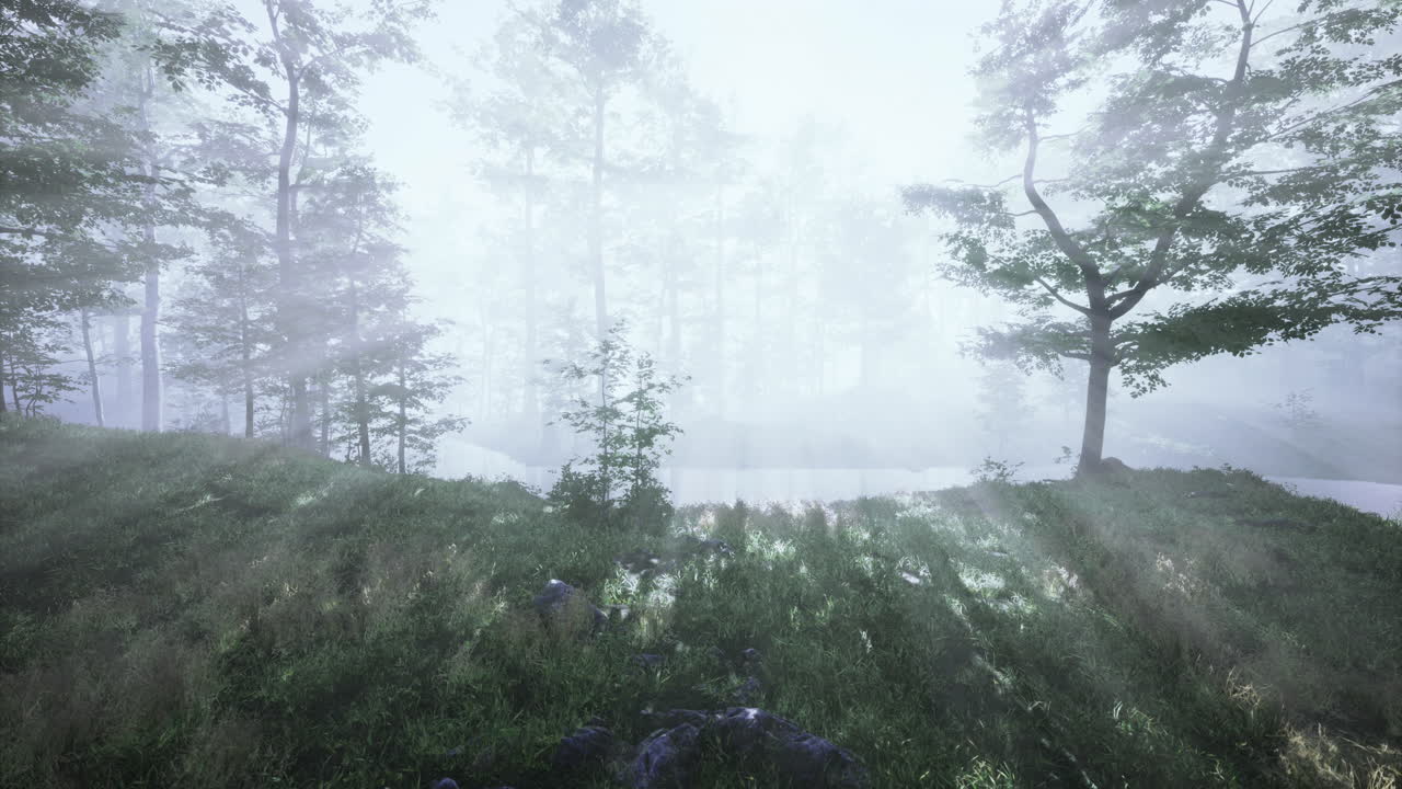 Foggy forest landscape with trees near a calm body of water in the morning
