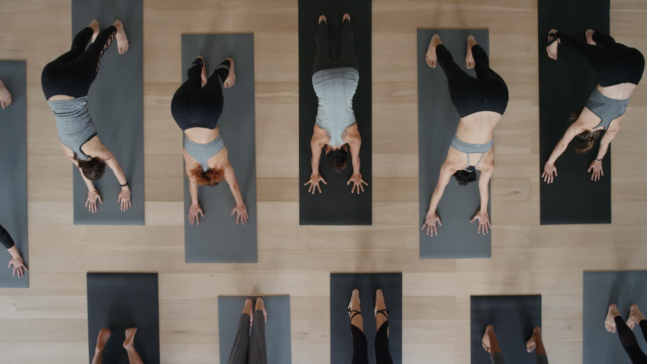 보기 위의 요가 수업 전사 포즈를 연습하는 건강한 여성은 스튜디오에서 운동하는 피트니스 라이프스타일을 즐기고 있습니다.
