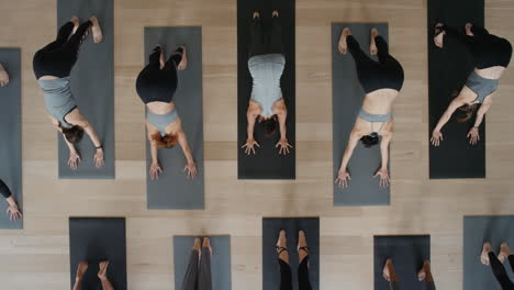 above view yoga class healthy women practicing warrior pose enjoying fitness lifestyle exercising in studio