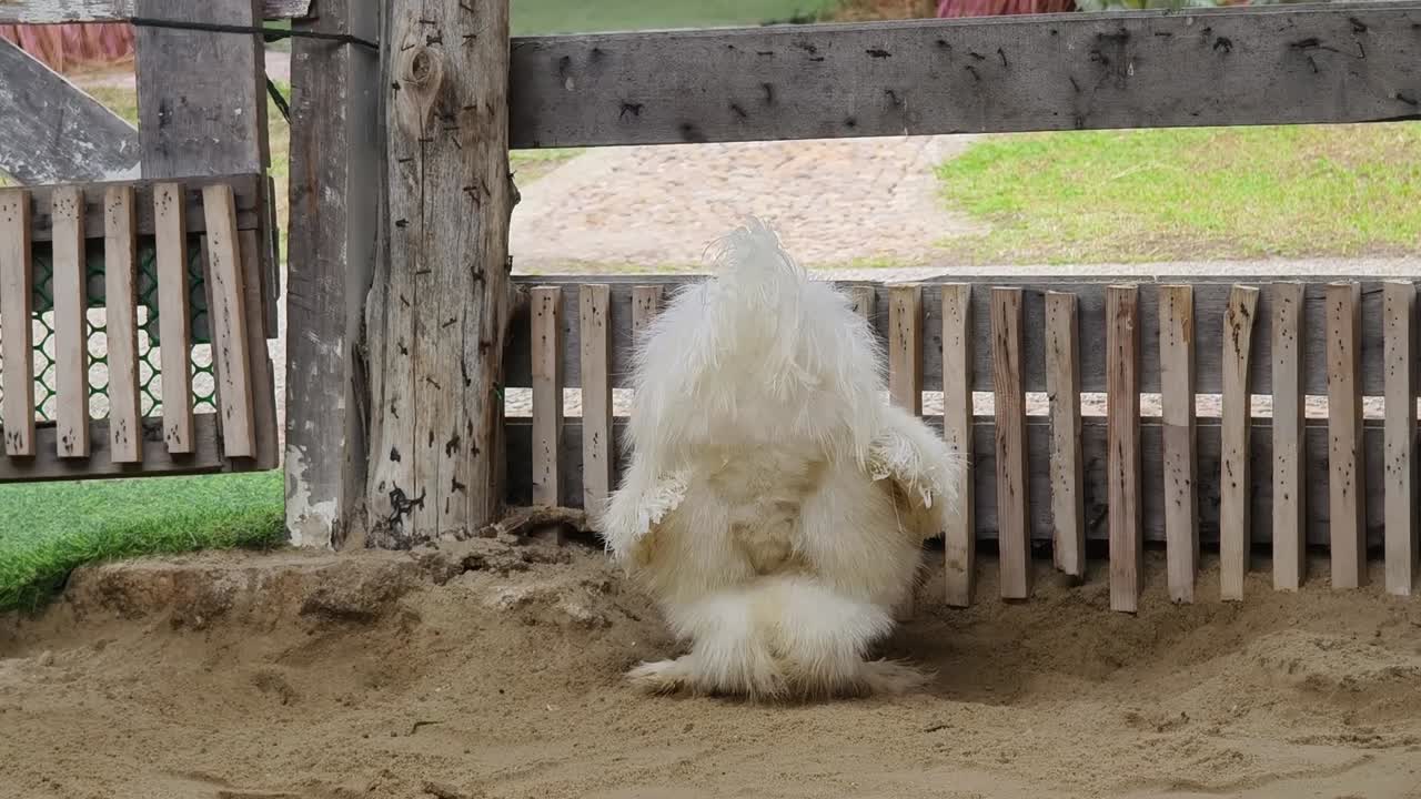 모래 지대 에 있는 색  들