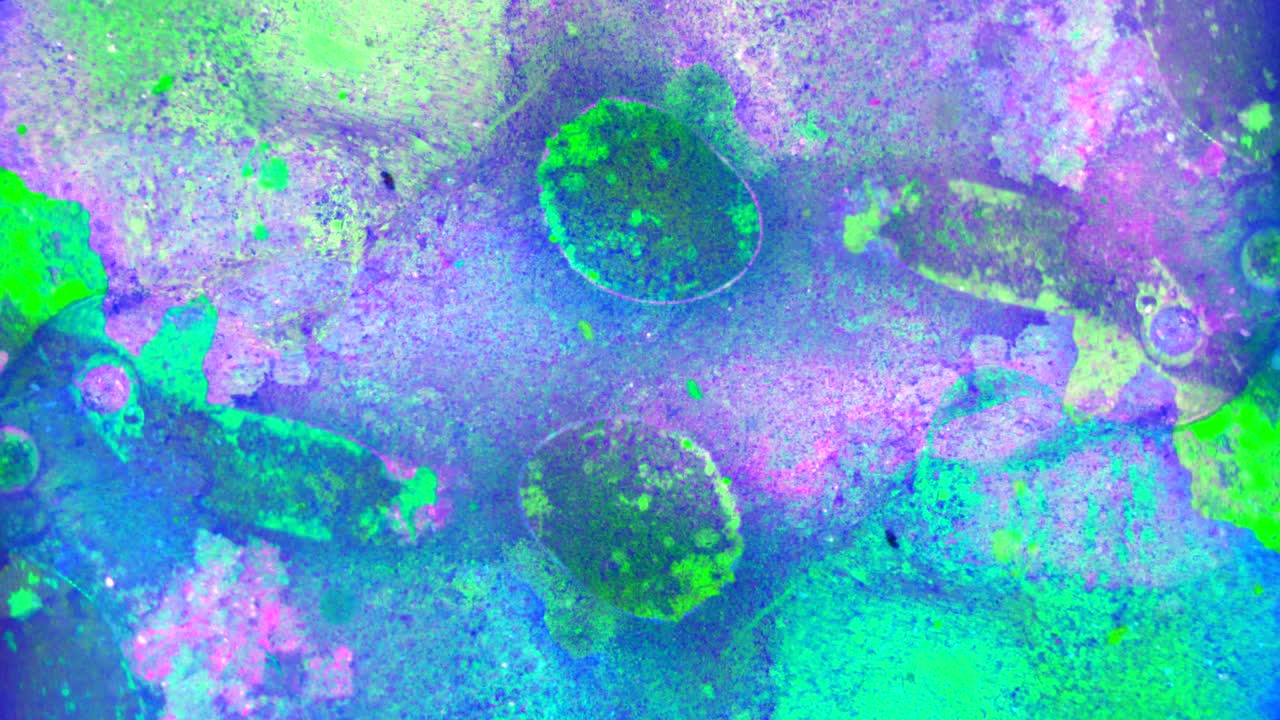 el rizado de las pinturas