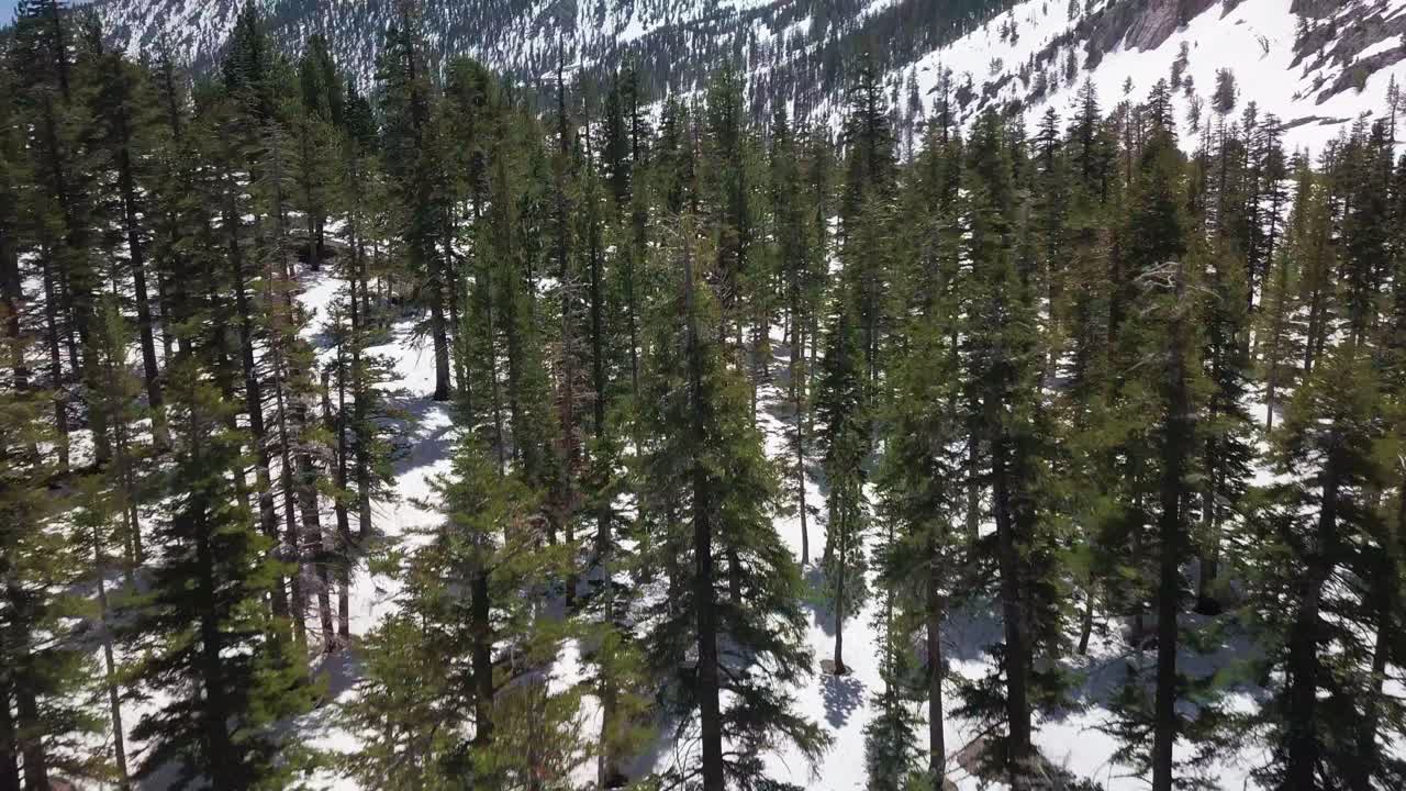 sobrevuela un bosque invernal e inclínate hacia arriba para revelar montañas cubiertas de nieve y un vasto valle debajo