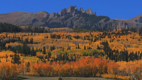 ohio kebler swampy pass crested butte fall autumn auburn peak colors castle mountain aerial drone colorado vibrant thick full aspen trees gunnison national forest morning sunny blue sky upwards motion