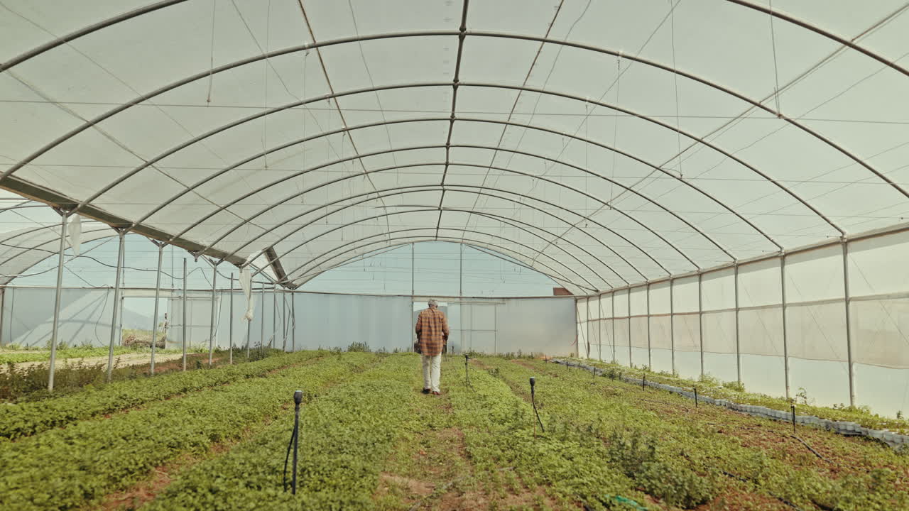 hombre, caminata y invernadero para la agricultura