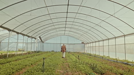 man, walking and greenhouse for farming