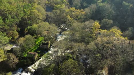 cascades amongst trees at tropical mountain forest in zas, a coruna, spain