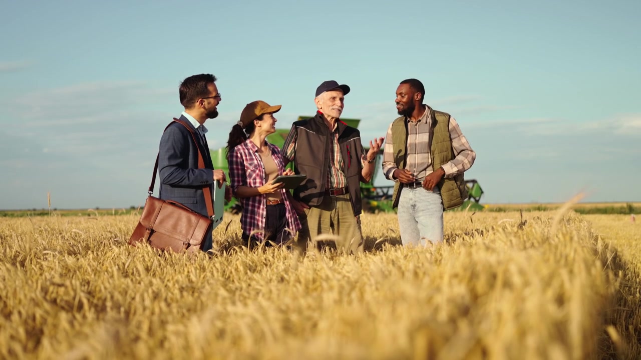 Gruppo eterogeneo di professionisti che discute di agricoltura in un campo di grano