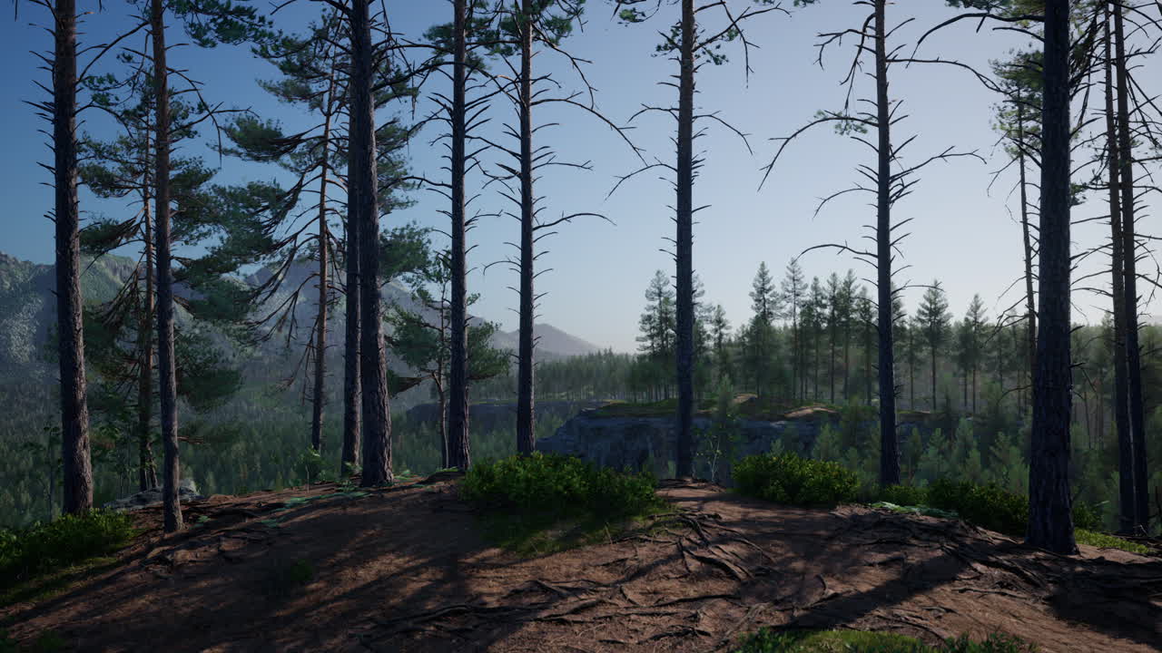 스프루스와 소나무와 콜로라도의 산