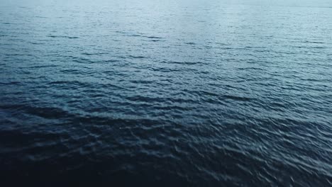 flying above the lake close to the water surface