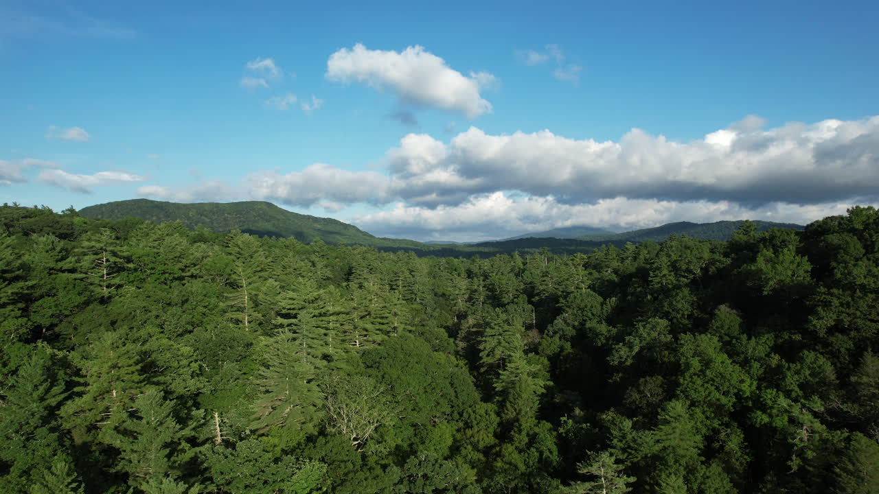 블루 릿지 산맥과 린빌 협곡, 노스 캐롤라이나의 드론 샷