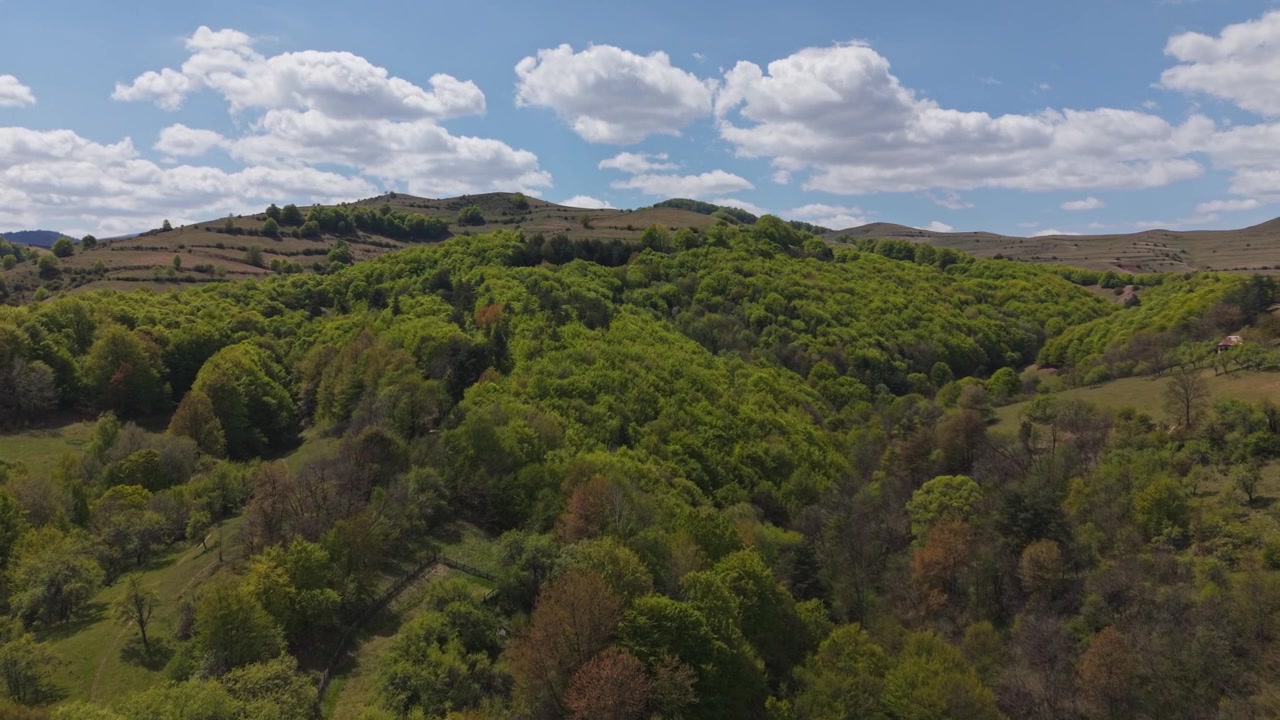 Un paesaggio montano panoramico coperto da una fitta foresta verde sotto un cielo blu vibrante pieno di nuvole bianche e drammatiche