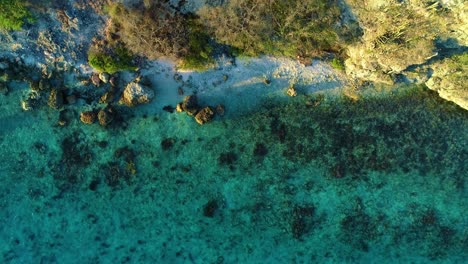 Weißer-Felsiger-Karibischer-Sandstrand,-Klare-Türkisfarbene-Wasserwellen-Und-Riff-Bei-Sonnenuntergang,-Drohnenperspektive-Von-Oben-Nach-Unten