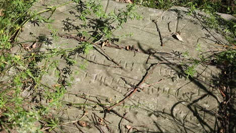 Beautifully-carved-Jewish-Gravestones-with-Hebrew-inscriptions-in-the-Jewish-Cemetery-in-Zdunska-Wola-Poland