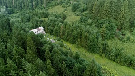 aerial shot descend through airsoft field surrounded by pine tree forest - slovakia