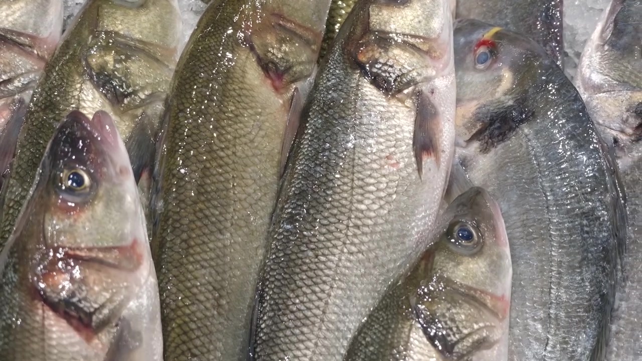Close-up of whole fish on crushed ice at a seafood market, Cote d'Azur, France