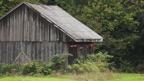 old wooden cottage isolated on the woods