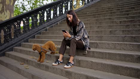 a woman sits on a set of stone steps in a city park, looking down at her phone, while her brown dog sits at her feet.