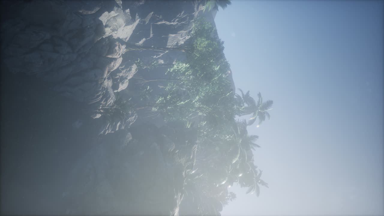 los rayos del atardecer a través de las palmeras