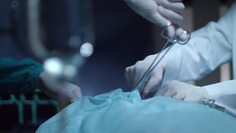 manos quirúrgicas en la sala de operaciones. mano con guantes sosteniendo herramientas quirúrgicas
