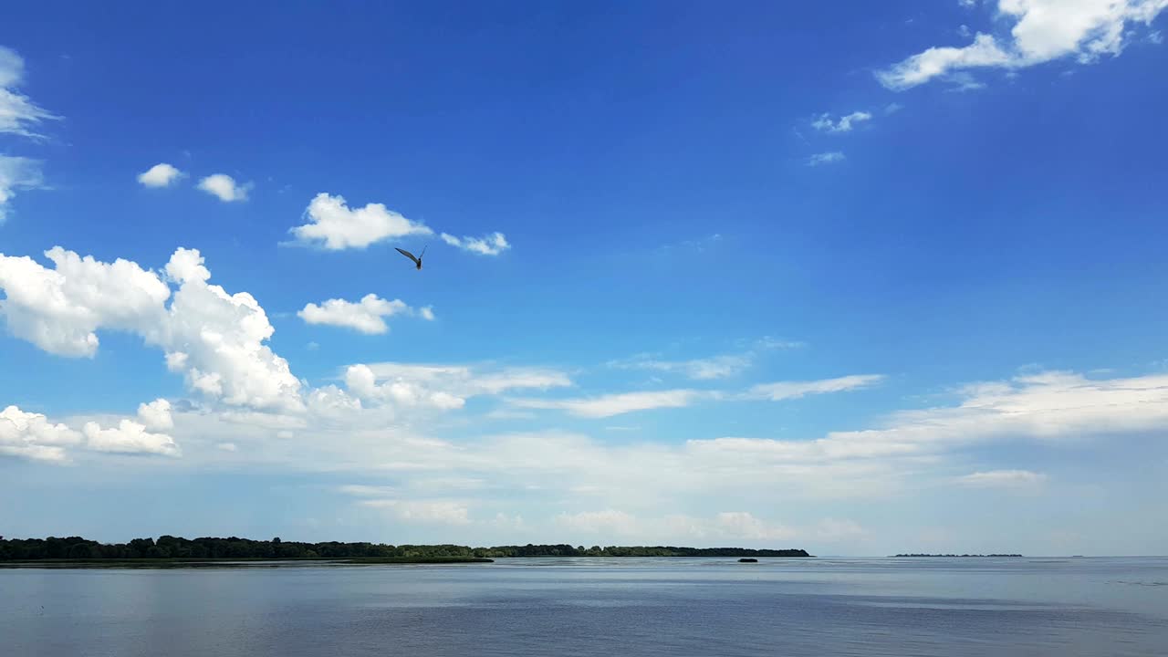 하늘에 아름다운 구름과 함께 강에서 다채로운 봄 여름 풍경, 물을 따라 도로를 가는 차에서 촬영, 역동적인 장면, 4k 비디오.