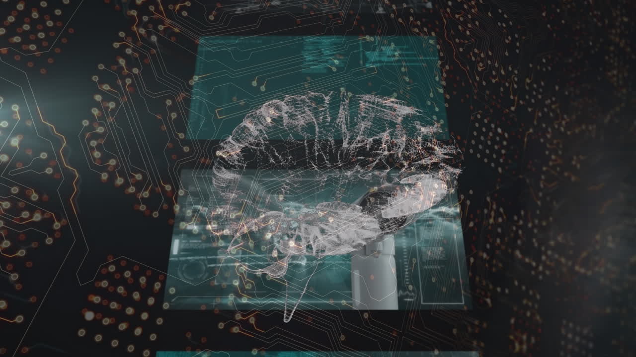 Animation of brain over connections and data on digital screens on black background