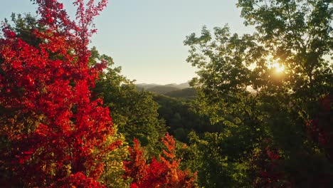 Beautiful-sunrise-aerial-forward-through-autumn-colored-trees,-smoky-mountains