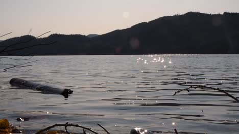 Sun-flares-on-shimmering-lake-with-log-in-the-foreground-and-mountains-in-the-background