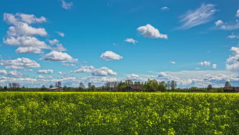 Zeitraffer-Einer-Flauschigen-Wolkenlandschaft-über-Einem-Rapsfeld-Auf-Dem-Land