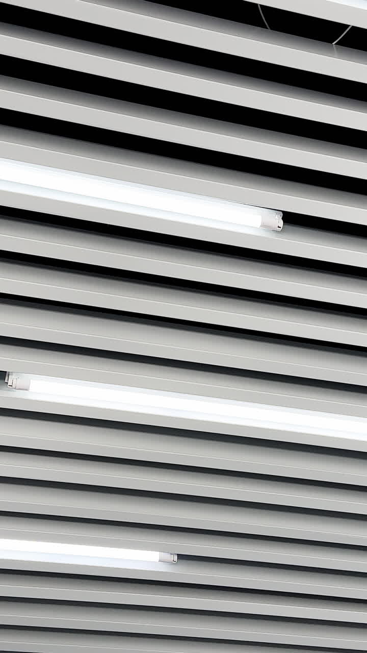 Lamps of day light switched on the ceiling. Long led illumination equipment black and white video. Low angle view. Vertical video