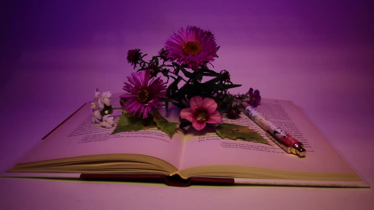 primer plano de flores y pluma en el libro