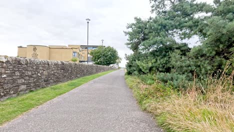 scenic walkway with trees and stone wall