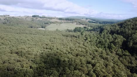 Aerial-footage-over-eucalypt-forest-and-farmland-near-Noojee,-central-Victoria,-Australia,-April-2019