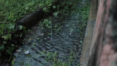 Regen-Fällt-Auf-Den-Hof-Des-Hauses,-Natur-In-Regnerischer-Umgebung,-HD-Video