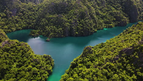 limestone rock formations covered with green trees at coron island in palawan, philippines. - aerial shot