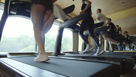people jogging on treadmills in gym