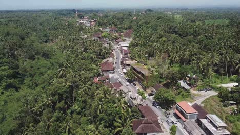 flying over the road in the jungle