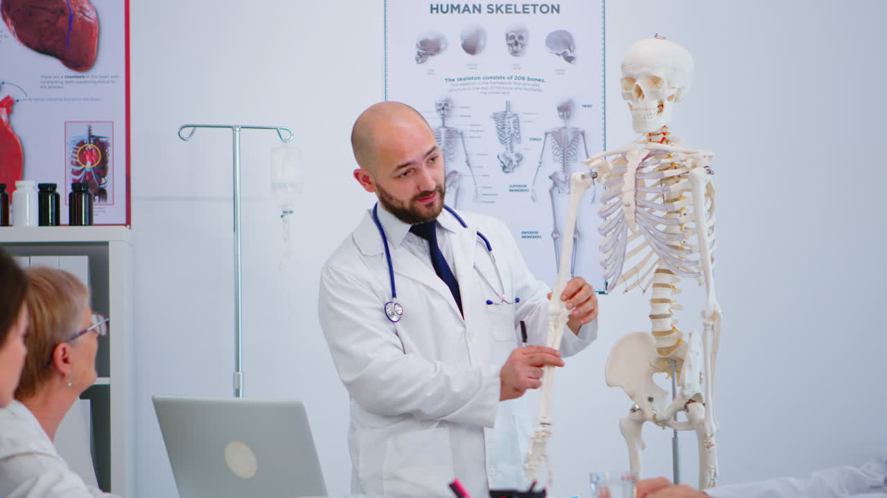 Specialist doctor showing body bone functionson using skeleton model