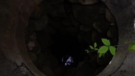 a look down to an old, exposed well