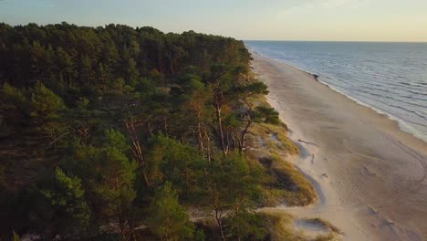 Beautiful-aerial-establishing-view-of-Baltic-sea-coast-on-a-sunny-evening,-sunset,-golden-hour,-beach-with-white-sand,-coastal-erosion,-climate-changes,-wide-angle-drone-shot-moving-forward