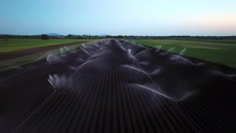 Farming-Irrigation-Sprinklers-On-Agricultural-Field---aerial-drone-shot