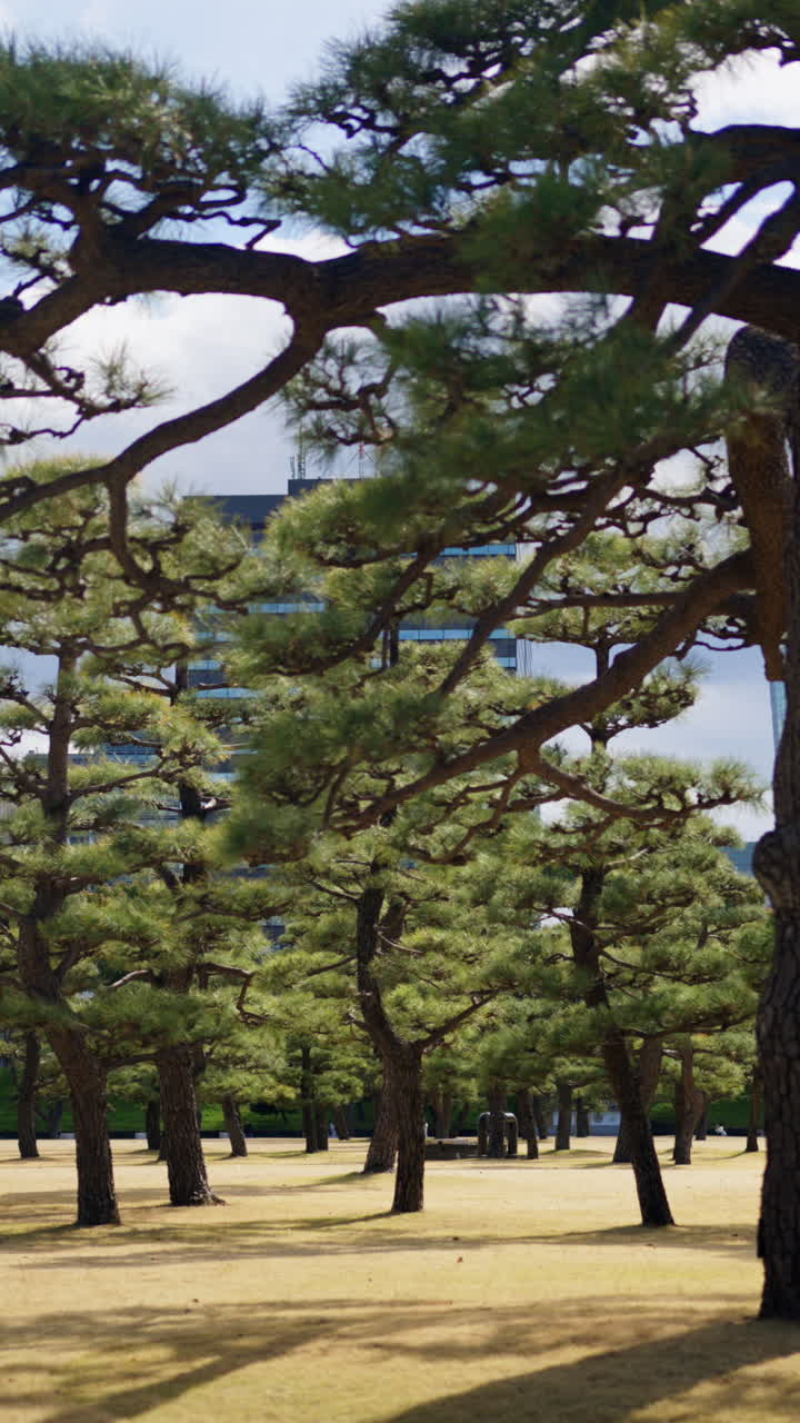 View of the Kokyo Gaien National Garden in Chiyoda, Tokyo, Japan. Vertical