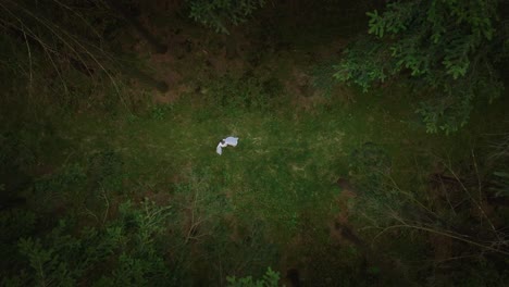 woman dancing in the forest in a white dress. mysterious and mysterious atmosphere. ghost dance from a bird's eye view