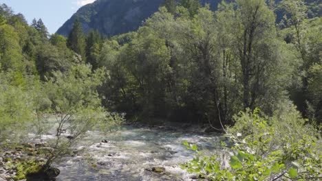 a panning shot of the river soča visible through the green vegetation