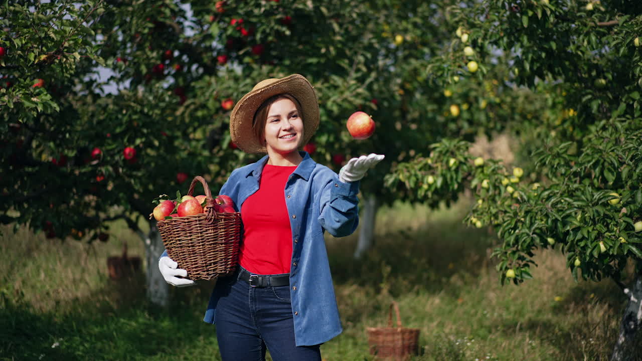 Sunny day in the garden on harvest season. Happy smiling lady with a full basket in hands tossing apple in the air playfully, smells it and puts back into basket.