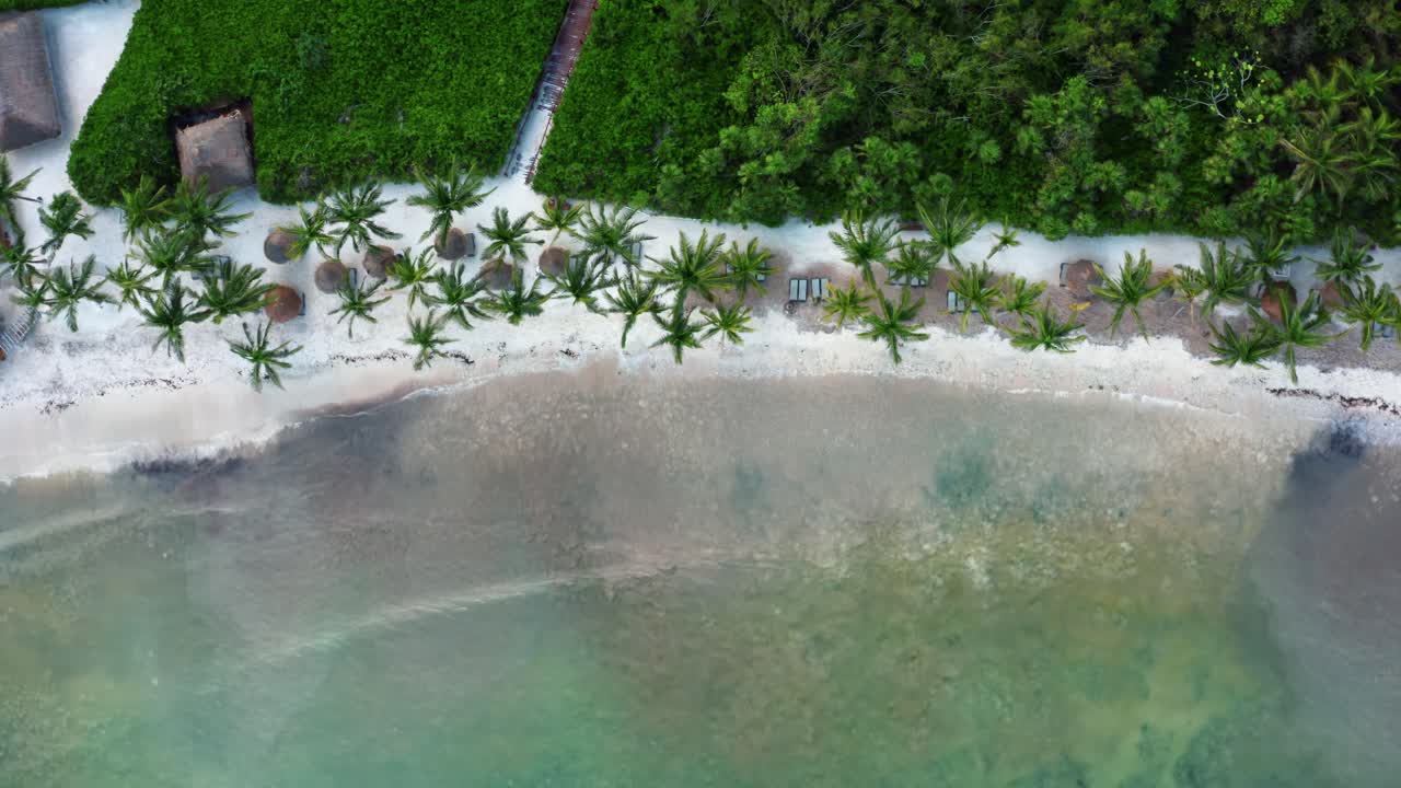 vista aérea de drones a vista de pájaro de una hermosa playa tropical de vacaciones con agua azul cristalina, arena blanca, palmeras y un camino que va desde un resort hasta la playa en riviera maya, méxico