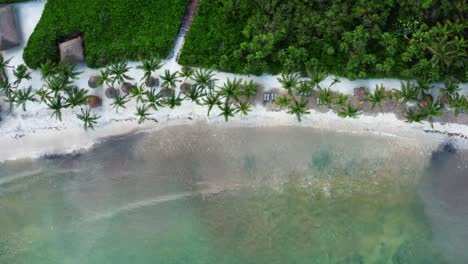 Aerial-bird's-eye-drone-view-of-a-beautiful-tropical-vacation-beach-with-crystal-clear-blue-water,-white-sand,-palm-trees,-and-a-path-leading-from-a-resort-to-the-beach-in-Riviera-Maya,-Mexico